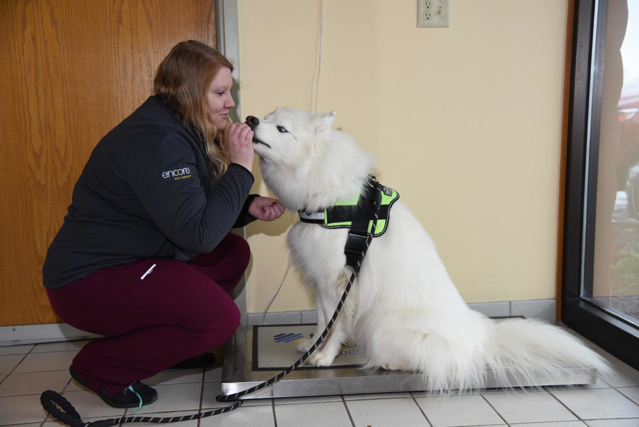 About Country View Veterinary Services Of New Glarus Vet In New