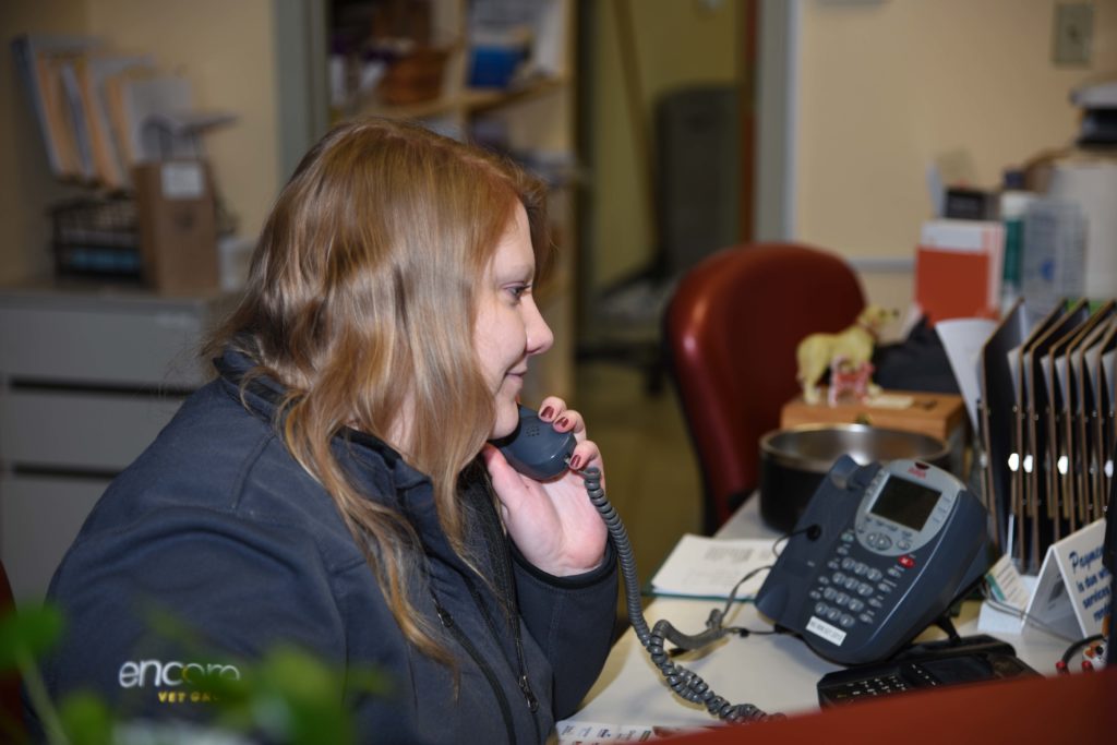 Veterinarian Reviews In New Glarus, WI 53574 Country View Veterinary