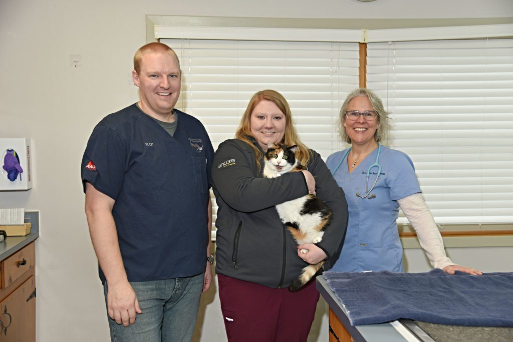 Veterinarian In New Glarus, WI 53574 Country View Veterinary Services