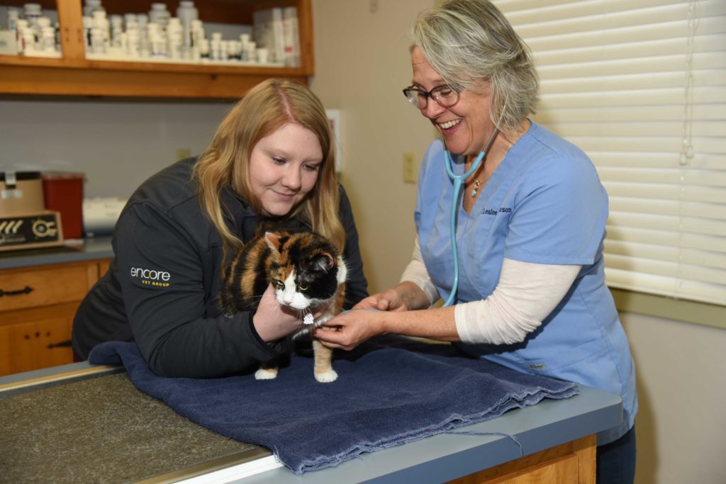 New Glarus, WI 53574 Veterinary Services Country View Veterinary