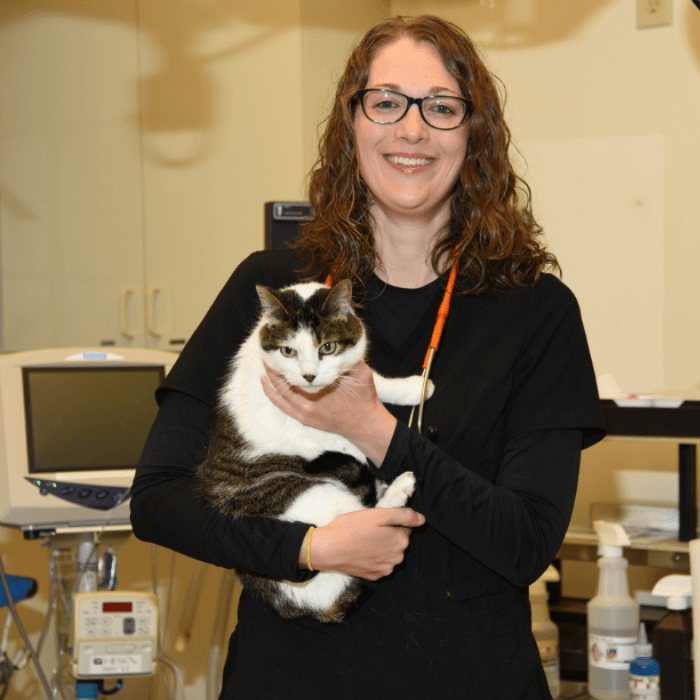 Country View Veterinary Service of New Glarus Staff sitting outside with two dogs